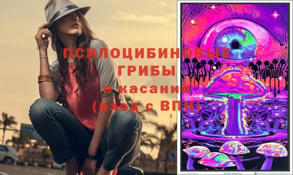 не бодяженный Дмитровск